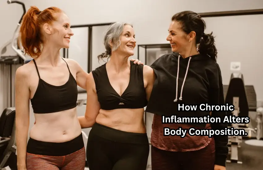 Chronic Inflammation and Body Composition in the UK