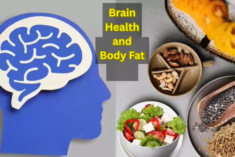 The Link Between Brain Health and Body Fat